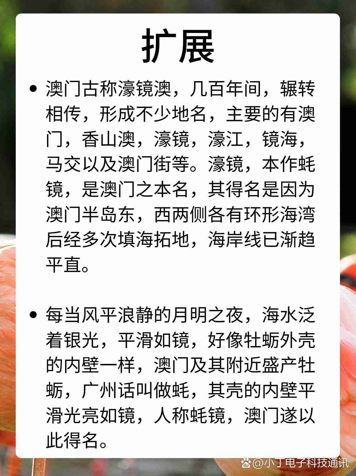 澳门正版资料全免费看,效能解答解释落实_游戏版121,127.12